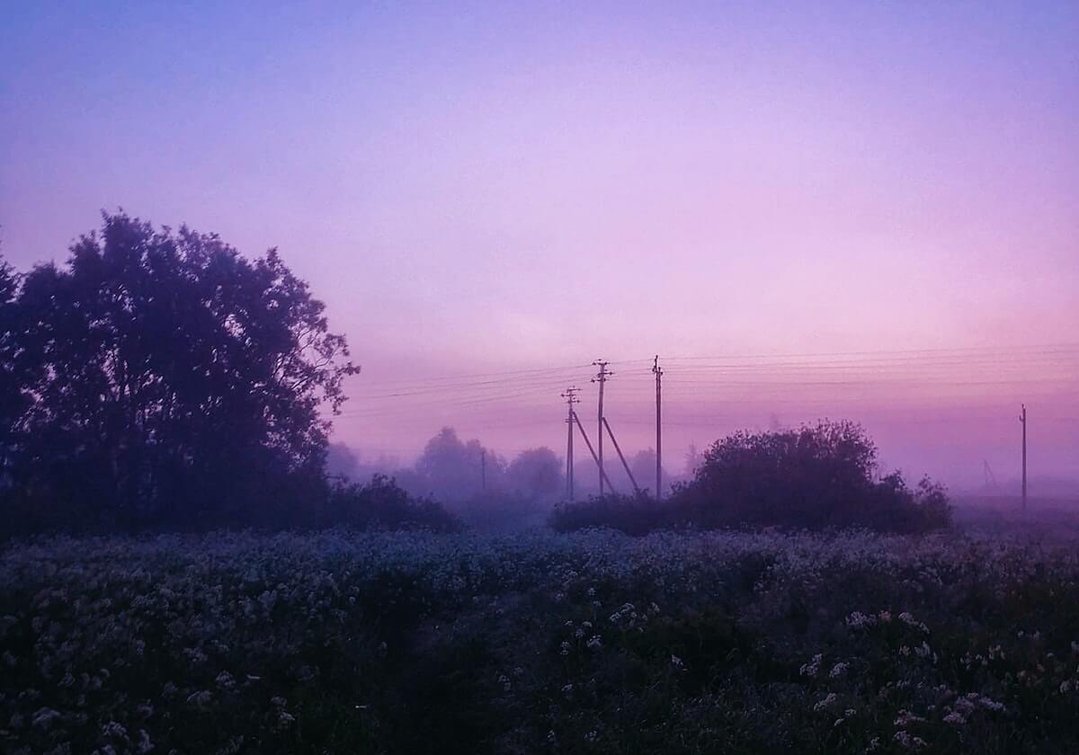 世界杯官方软件下载中心-鲁能争议小生刷出两项最佳 莫伊塞斯归队不日复出
